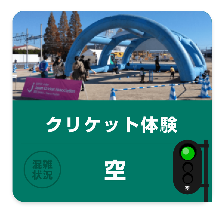 クリケット体験